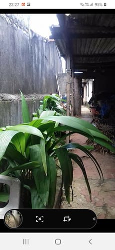 Imagem do WhatsApp de 2024-06-14 à(s) 17.22.02_3de0258e