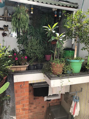 Imagem do WhatsApp de 2025-06-04 à(s) 17.13.31_20ca76d9