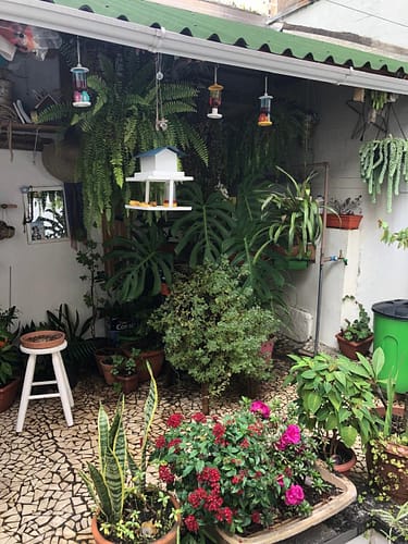 Imagem do WhatsApp de 2025-06-04 à(s) 17.13.33_b0d301f0