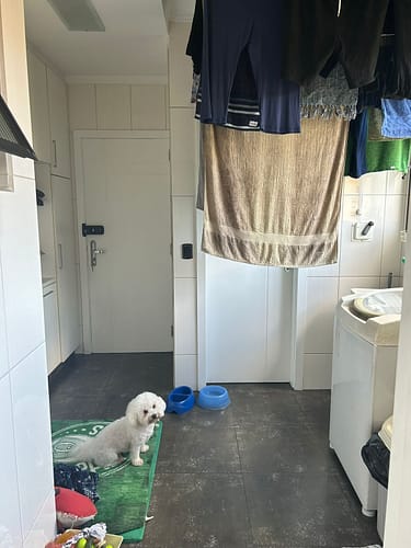 WhatsApp Image 2025-12-18 at 16.36.00 (1)