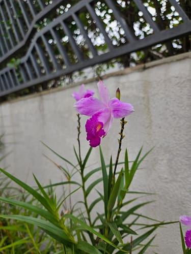 IMG-20260708-WA0147