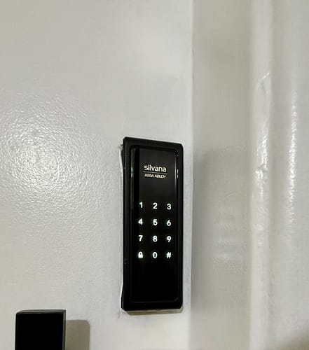 81