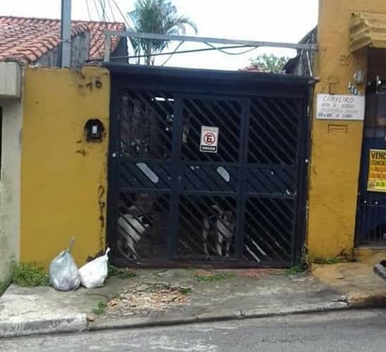 Imagem do WhatsApp de 2024-06-14 à(s) 17.22.03_134a4078