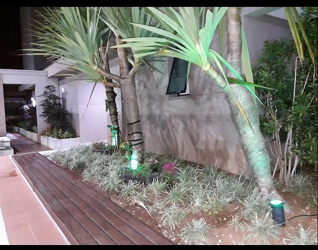 Imagem do WhatsApp de 2025-06-01 à(s) 18.29.47_8323e84a