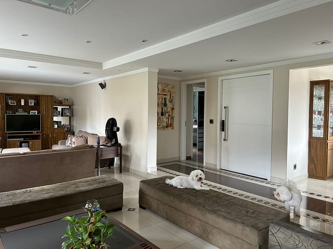 WhatsApp Image 2025-12-18 at 16.36.01 (8)