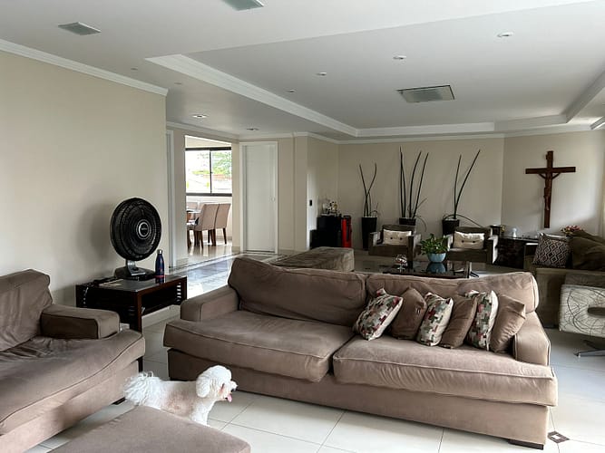 WhatsApp Image 2025-12-18 at 16.36.01 (9)