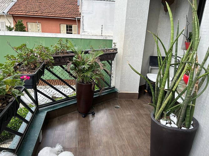 WhatsApp Image 2025-12-18 at 16.36.05 (9)